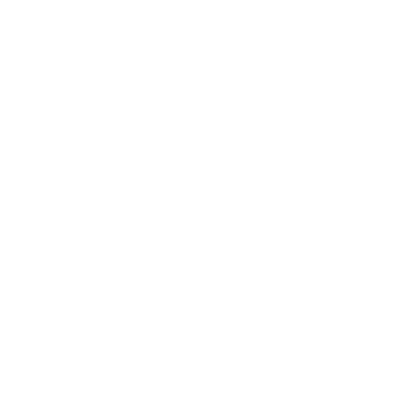 野良猫のリズム